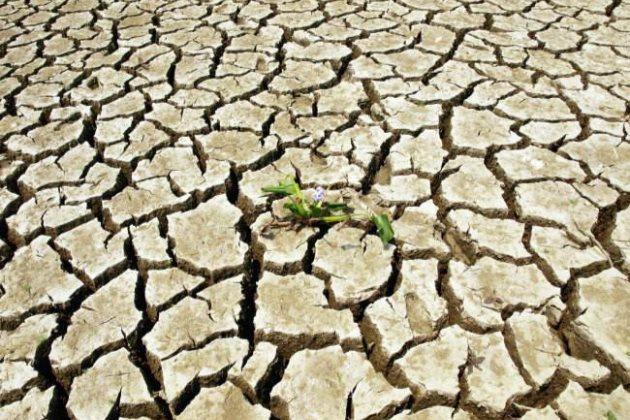 土壤板結(jié)問題，這次終于講透了